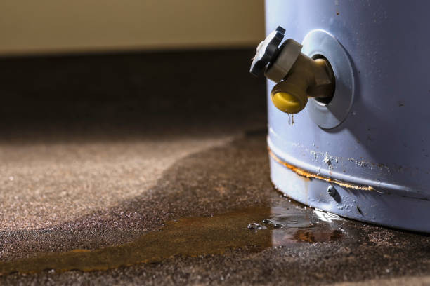 Best Water damage restoration near me  in Trumansburg, NY