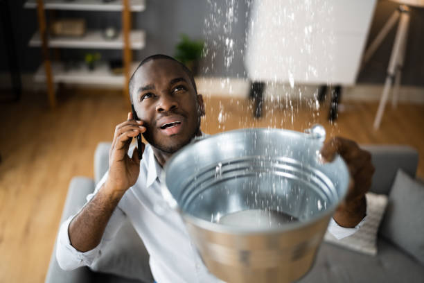 Best Water damage cleanup near me  in Trumansburg, NY
