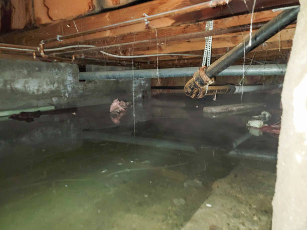Best Ceiling water damage repair  in Trumansburg, NY