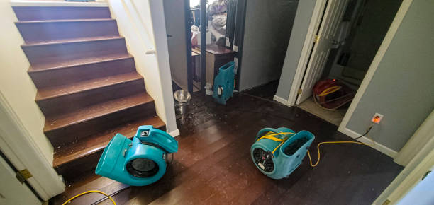 Best Flood damage cleanup  in Trumansburg, NY