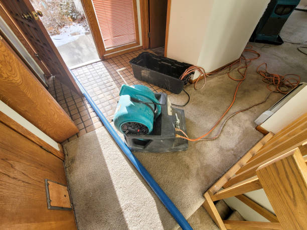 Best Mold removal after water damage  in Trumansburg, NY