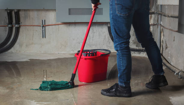 Best Sewage cleanup and water damage restoration  in Trumansburg, NY
