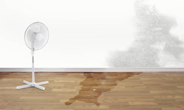 Best Fire Damage Restoration  in Trumansburg, NY