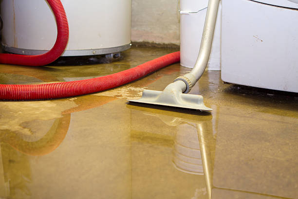 Best Fire Damage Restoration  in Trumansburg, NY