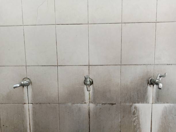Best Water damage contractors near me  in Trumansburg, NY