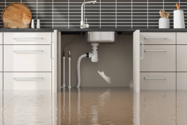 Best 24/7 water damage repair  in Trumansburg, NY
