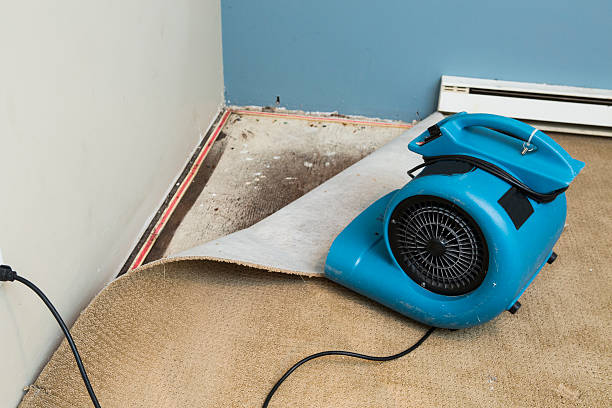 Best Emergency water damage restoration  in Trumansburg, NY